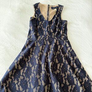 Blue Floral Lace Dress from Francesca's